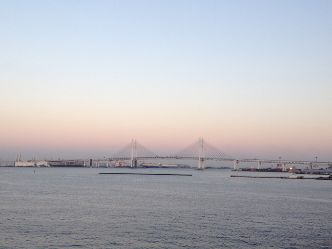 東水堤（全長440m）