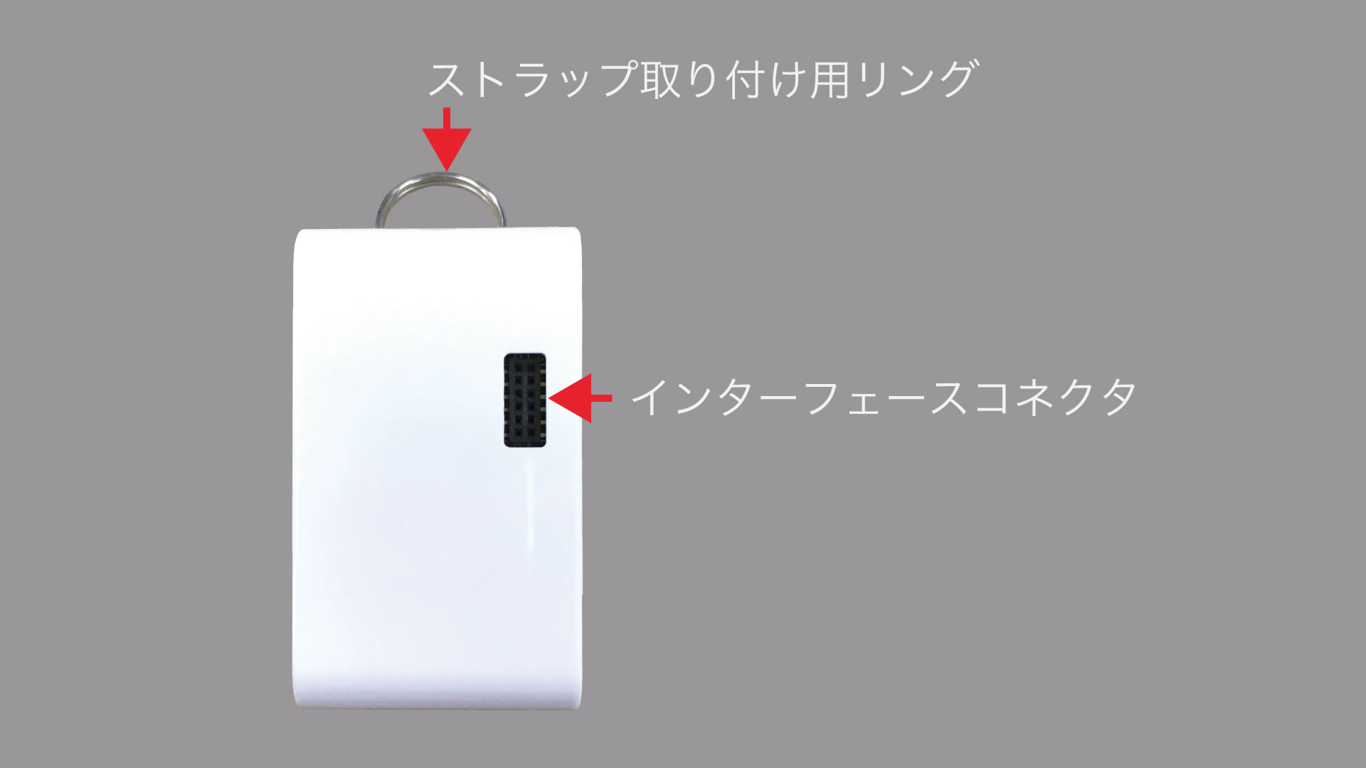 ベル/呼び鈴サンプル